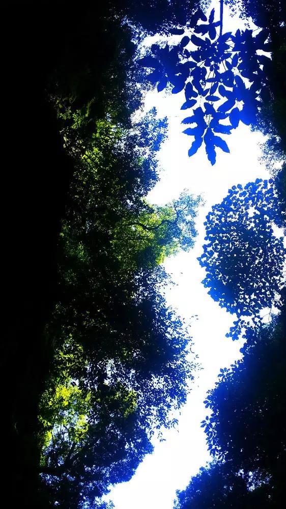 探索