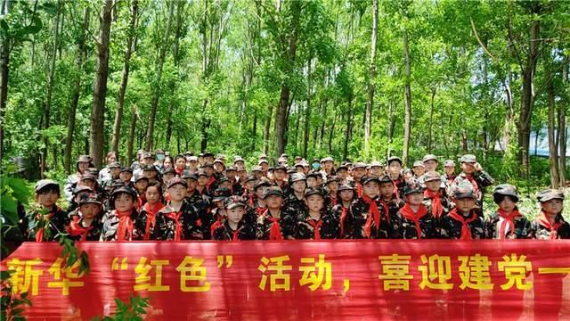 小恐龙来找茬